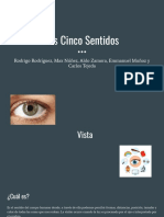 5 Sentidos