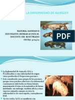 LA ENFERMEDAD DE AUJESZKY Diaositivas 1