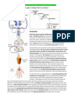 LO 18 Pain Pathways and Pharma MGT OA