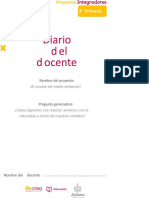 Diario Del Docente