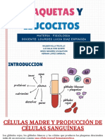 Expo PLAQUETAS - LEUCOCITOS