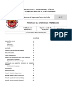 IN 27 Prevenção em Espetáculos Pirotécnicos