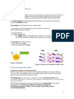 Apuntes Sencillos Del Tema 8