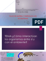 Interacciones, Poblacion y Ciclos