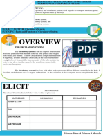 1.3 Circulatory System