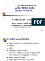 Aula HPA3 Carrapatos