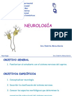 NEUROLOGIA