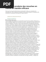 Comment Produire Des Mouches en Masse de Manière Efficace