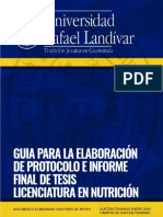 Guia para Elaboracion de Protocolo e Informe Final de Tesis Version 2