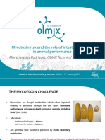 Ms Maria Angeles Rodriguez Mycotoxin Risk and Intestinal Immunity