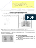 Ficha Avaliação - Sistema Respiratório