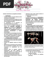 Modulo 10 - Terapia Fisica y Rehabilitación