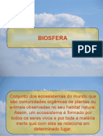 Desflorestação