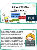 Programa Sintético y Analítico