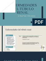 Enfermedades Del Túbulo Renal