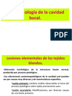 Unidad 6.patología de La Cavidad Oral.