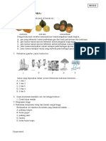 Soal Pilihan Ganda:: (Type Text)