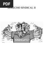 Derecho Sindical