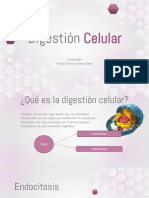 Digestion Celular