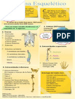 Sitema Esqueletico