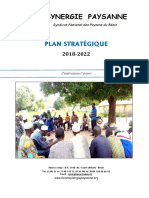 Plan - Stratégique.SYNERGIE PAYSANNE