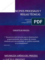 2) Principios Procesales y Reglas Técnicas