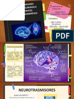 NEUROTRANSMISOR