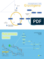 Ruta de Las Pentosas Fosfato