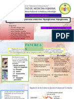 SEMINARIO 3 - Fisiopatología Del Pancreas Endocrino. Hiperglicemia. Hipoglicemia