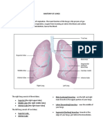 Anatomy of Lungs