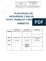 Plan Anual de SST