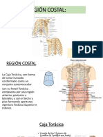 2.región Esternal 2022