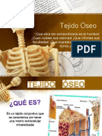 BIología - Tejido Oseo 4to Año