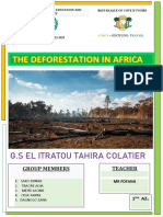 Deforestation in Africa