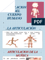 Articulaciones Diapositivas