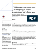 A Transformed Bacterium Expres