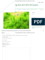 Pinus Roxburghii (Chir) - Silviculture of Pinus Roxburghii - Forestry Coaching-IFoS ACF AFO FRI Exams