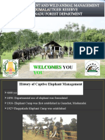 Captive Elephant Management - MTR-DR - Rajesh