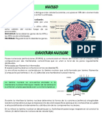 Resumen 3er Modulo Teoria