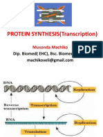 5 1 Transcription