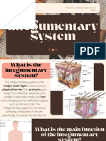 Integumentary System