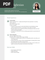 Green Grey Color Blocks Copy Editor CV