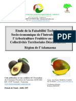 Etude Filiére Fruitiére