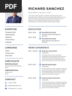 Tan & Beige Elegant Professional Resume Copywriter & Brand Strategist