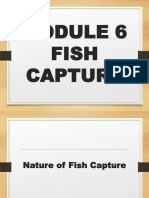 Tec10 - Module 6 (Fish Capture)