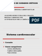 Cardiovascular Diplomado