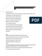 Anatomia Axial