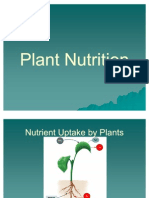 Plant Nutrition