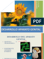 Desarrollo Urogenital y Diferenciación Sexual Modulo Iii