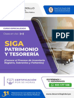 SIGA PATRIMONIO TESORERIA - TEMARIO 1 - Compressed